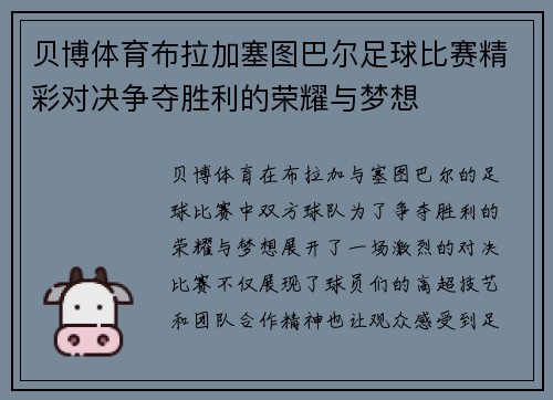 贝博体育布拉加塞图巴尔足球比赛精彩对决争夺胜利的荣耀与梦想